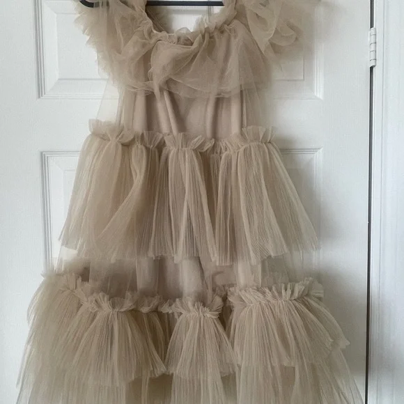 H&M Tulle Ruffled Dress - Picture 3 of 5